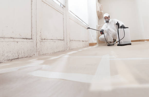 24/7 Emergency Mold Remediation experts in Erwin, NC
