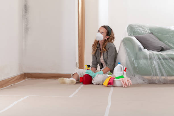Reliable Mold Remediation contractor in Erwin, NC by Mold Remediation HQ